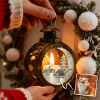 Custom 2 Pets Photo into Cartoon Style Ornament – Personalized Pet Name Christmas Gift for Pet Lovers - DiyGiftly