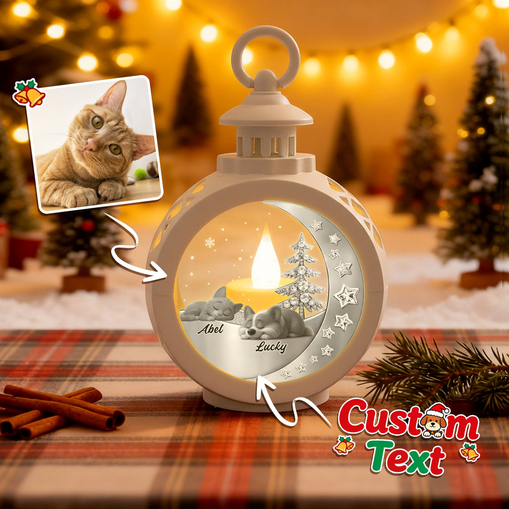 Custom 2 Pets Photo into Cartoon Style Ornament – Personalized Pet Name Christmas Gift for Pet Lovers - DiyGiftly