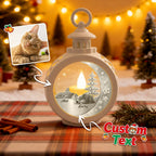Custom 2 Pets Photo into Cartoon Style Ornament – Personalized Pet Name Christmas Gift for Pet Lovers - DiyGiftly