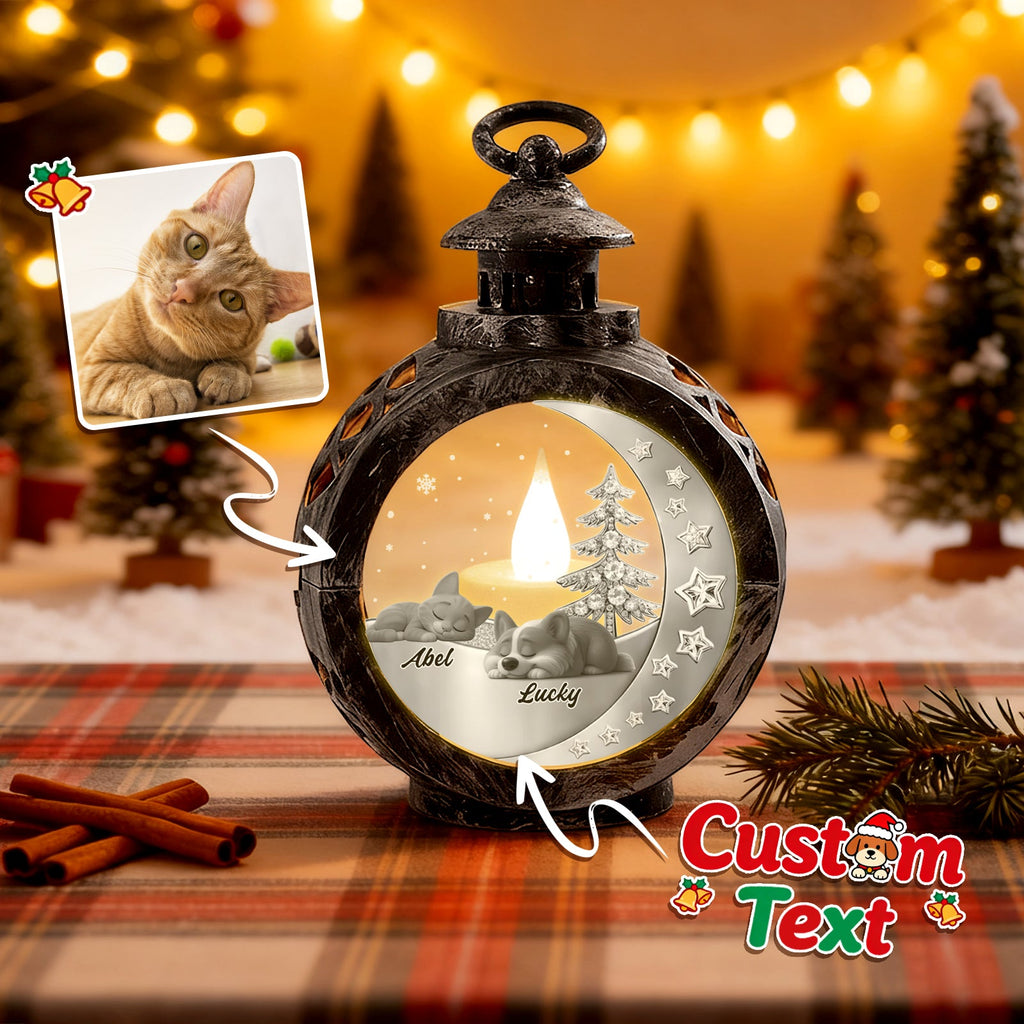 Custom 2 Pets Photo into Cartoon Style Ornament – Personalized Pet Name Christmas Gift for Pet Lovers - DiyGiftly