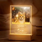 personalized cat acrylic night light warm led glow loss of cat gift