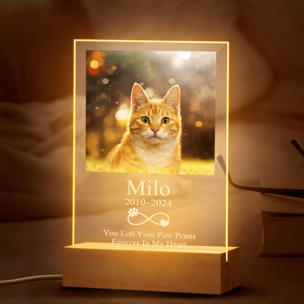 personalized cat acrylic night light warm led glow loss of cat gift