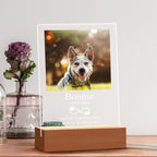 personalized cat acrylic night light loss of cat gift warm led glow