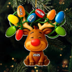 Custom Acrylic Ornament - Personalized Christmas Birthday Gifts For Mom, Dad, Kids - Our Reindeer Crew 1044869 - DiyGiftly