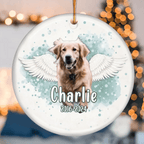 loss of cat gift personalized cat photo ornament face portrait