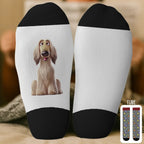 Custom Crew Socks – Personalized Dog Lover Birthday Gifts – Cute Dog Mom & Dog Dad Socks – Every Day Is A Dog Day Pet Parent Socks 1056423 - 1056424 - DiyGiftly