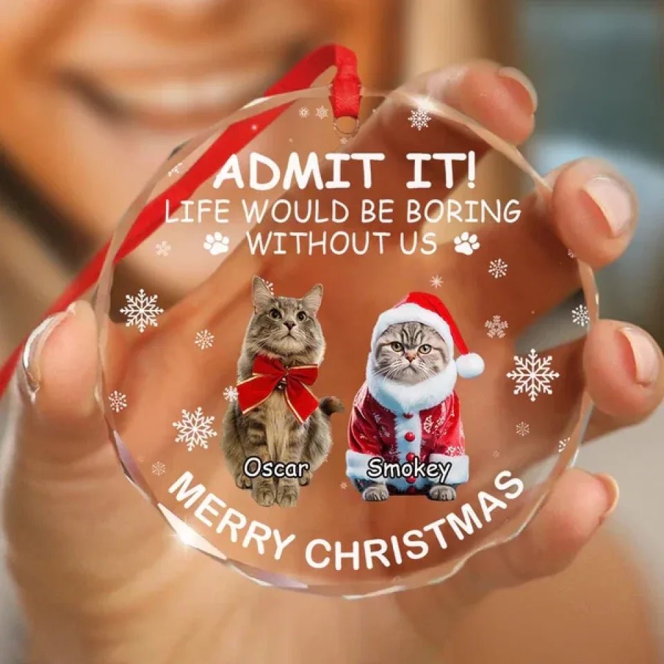 Custom Dog Cat Photo Life Would Be Boring Without Me Glass Circle Ornament 689507 - DiyGiftly