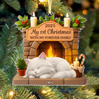 Custom First Christmas Acrylic Ornament - Personalized Christmas Birthday Gifts For Cat Lovers, Cat Mom And Dad - With My Forever Family 1046046 - DiyGiftly