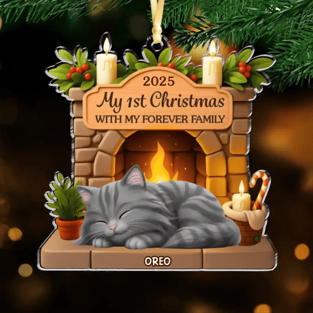 Custom First Christmas Acrylic Ornament - Personalized Christmas Birthday Gifts For Cat Lovers, Cat Mom And Dad - With My Forever Family 1046046 - DiyGiftly
