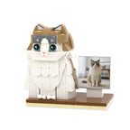 Custom Full - Body Cute Brick Figures of 1 Cat with Frame Anniversary Gift Christmas Gift Birthday Gift for Pet Lover - DiyGiftly
