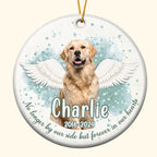 Custom Pet Face Memorial - Personalized Ceramic Photo Ornament 683477 - DiyGiftly