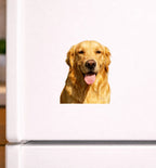 Custom Pet Fridge Magnets – Personalized Magnetic Stickers with Your Furry Friends' Photos 1107447 - DiyGiftly