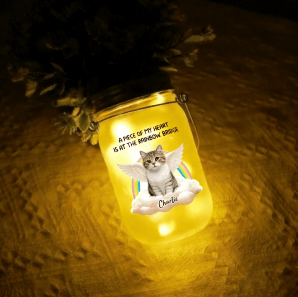 glowing memorial light personalized cat photo mason jar loss of cat gift