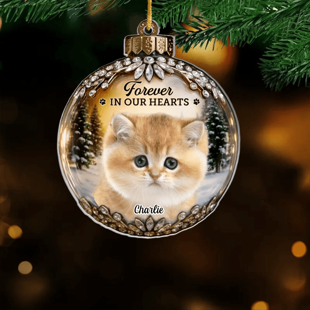 every star carries your light personalized cat photo acrylic ornament loss of cat gift