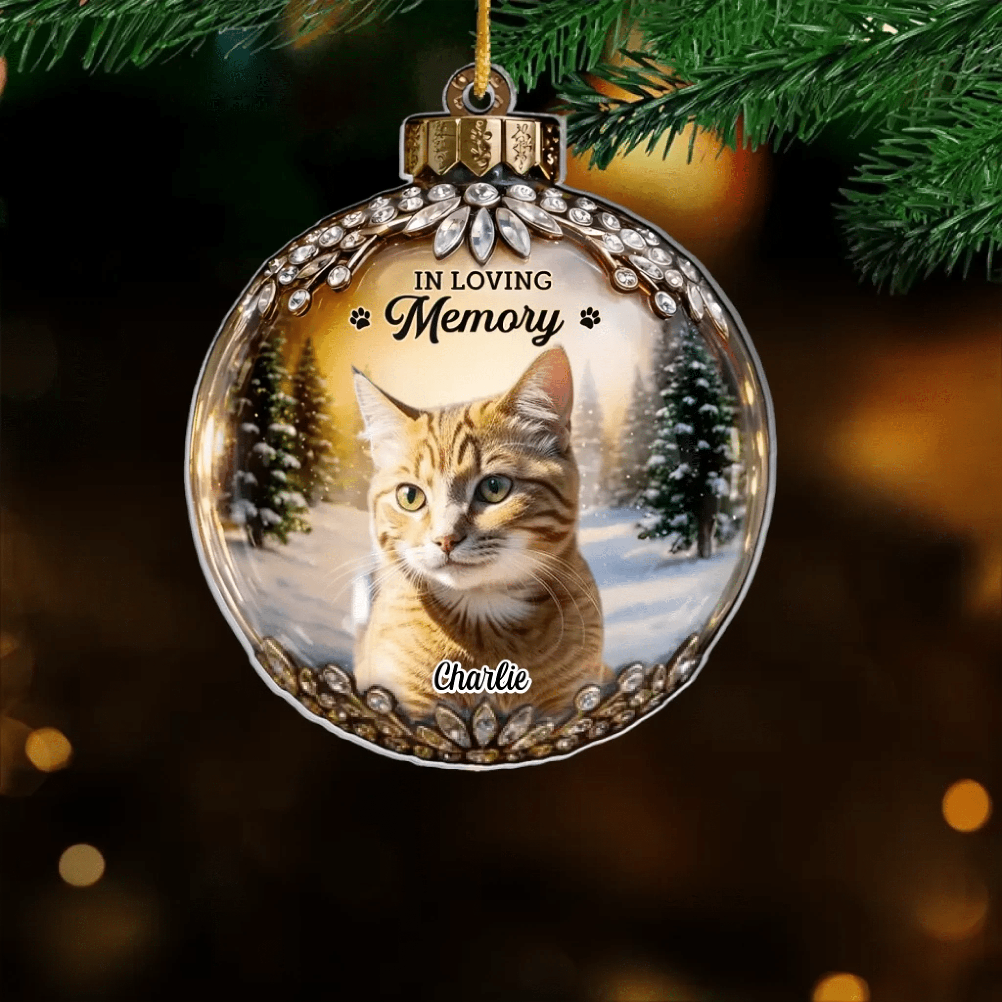 personalized cat photo acrylic ornament every star carries your light loss of cat gift