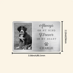 Custom Photo Aluminum Wallet Card – Personalized Pet Memorial Gifts for Dogs & Cats – Loss of Pet Sympathy Keepsake – Engraved Wallet Insert Tribute – “They Lived, They Loved, They Purred” 1054396 - DiyGiftly