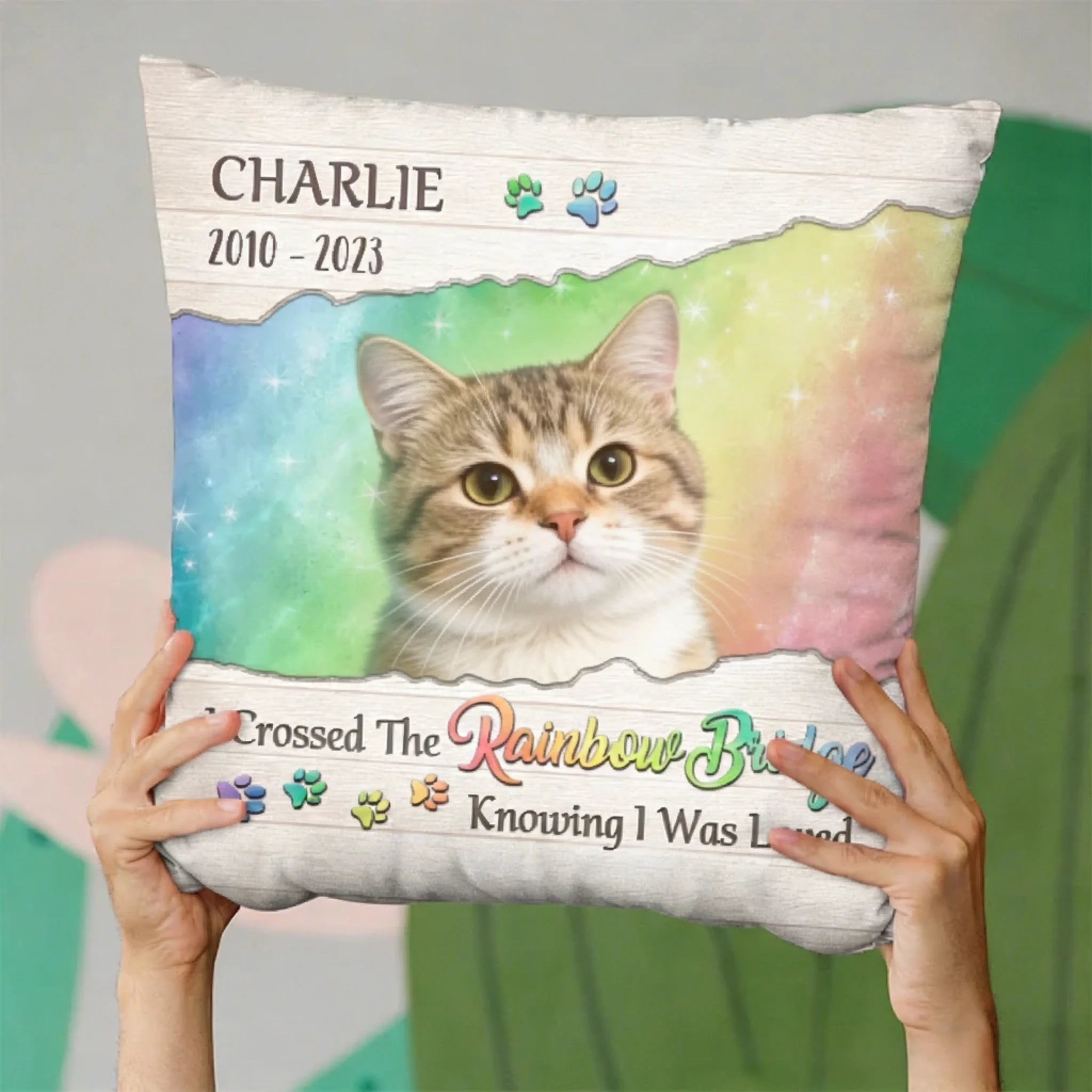 soft plush comfort personalized cat photo pillow loss of cat gift