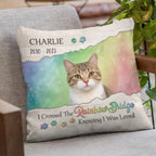 personalized cat photo pillow soft plush comfort loss of cat gift