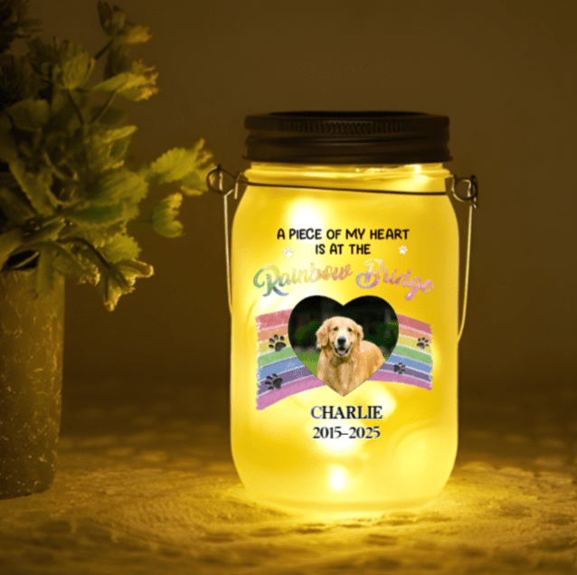 Single color warm light Mason Jar Light Personalized Photo Soft Glowing