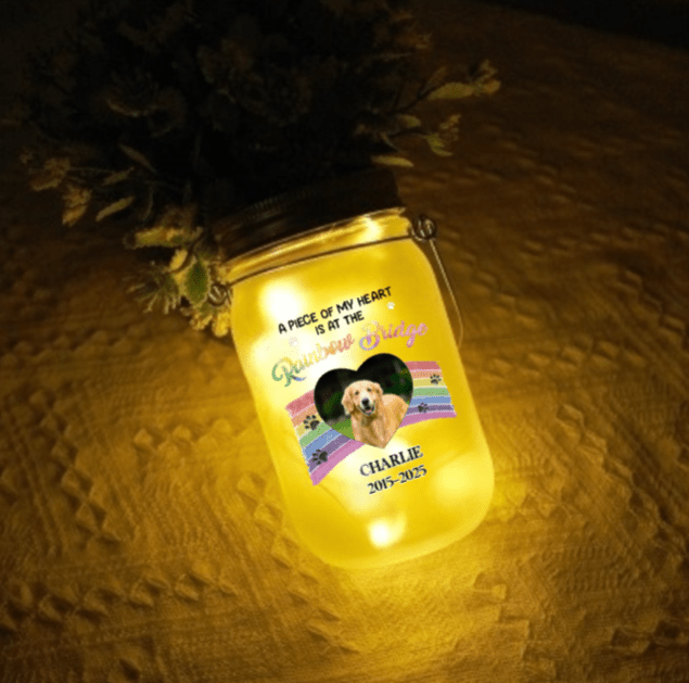 Colorful lights Personalized Photo Mason Jar Light Comfort Sympathy Gift for Loss of Dog