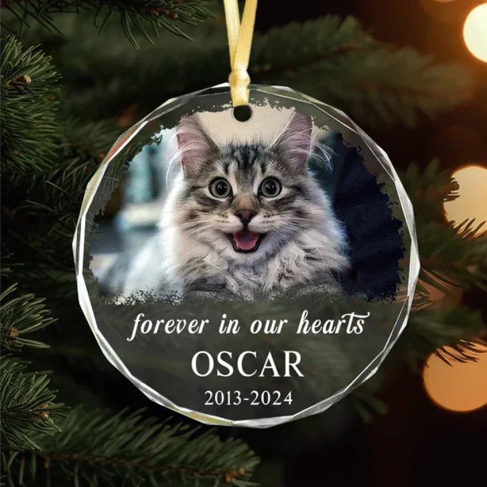 heart glass keepsake custom photo and name cat ornament loss of cat gift
