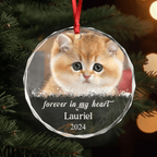 heart glass keepsake custom photo and name cat ornament loss of cat gift