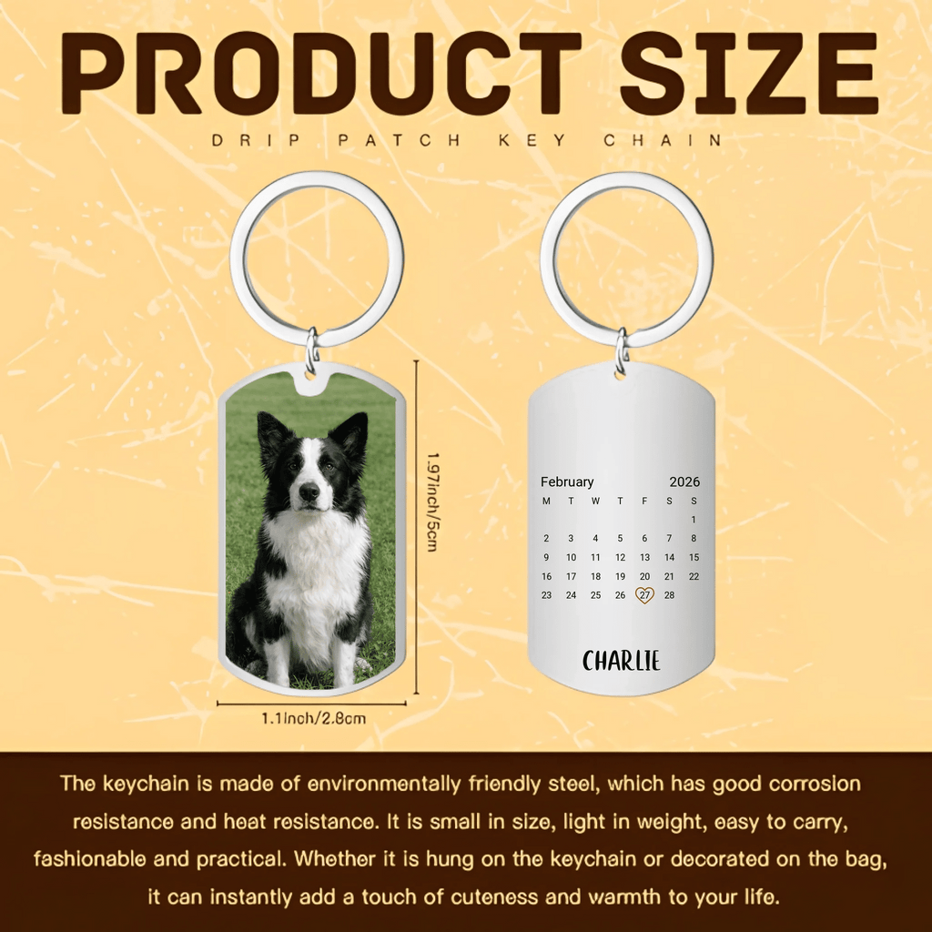 Photo Keychain Portable Everyday Keepsake Cat Remembrance Gifts
