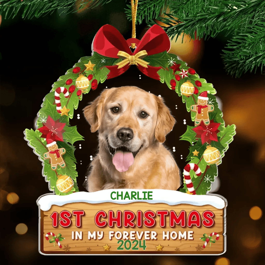 Custom Photo First Christmas In My Forever Home - Dog & Cat Personalized Custom Ornament - Acrylic Custom Shaped - Christmas Gift For Pet Owners, Pet Lovers 671536 - DiyGiftly