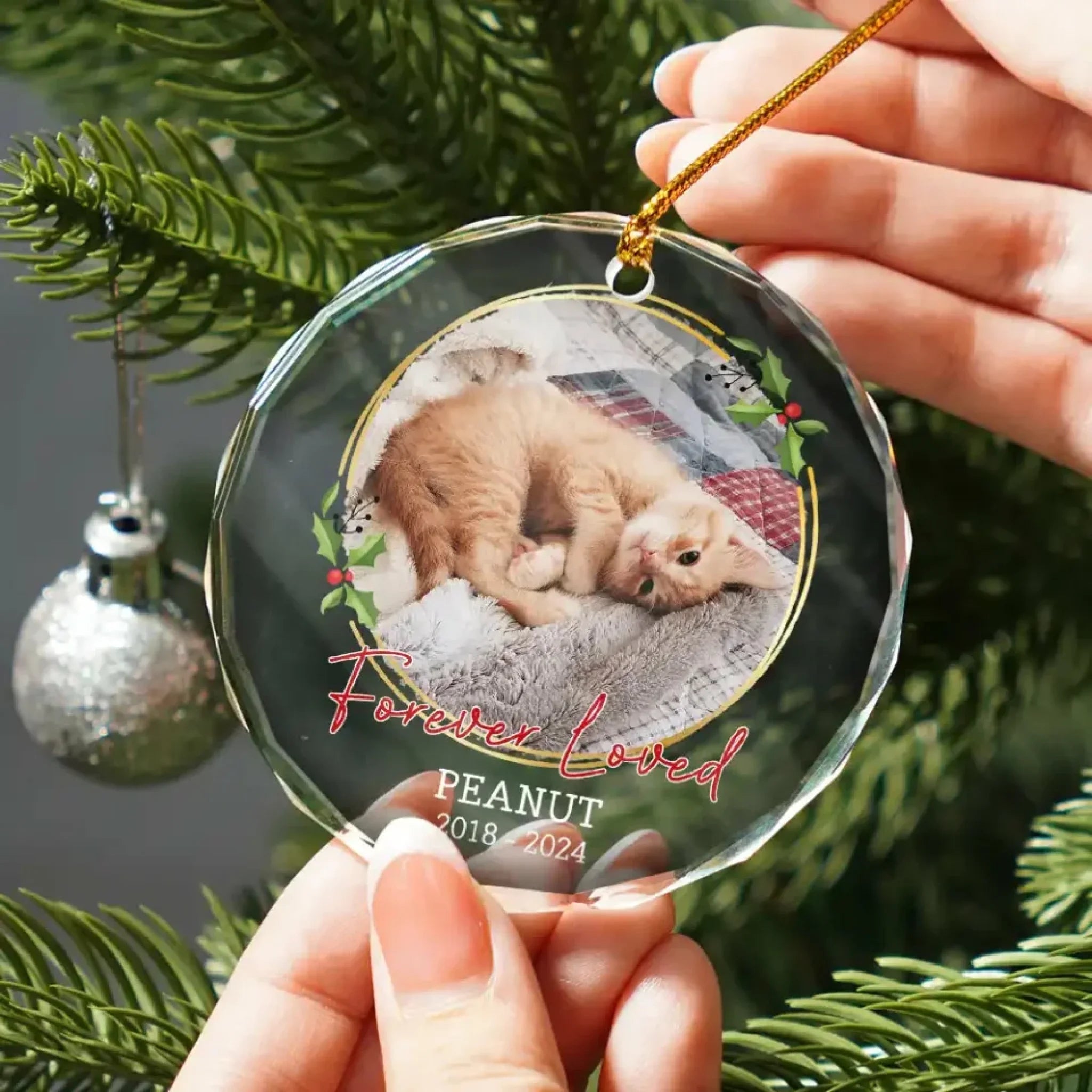 personalized cat photo circle glass ornament keepsake loss of cat gift