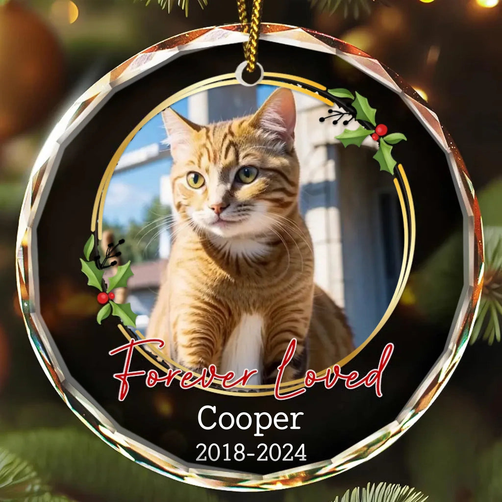 personalized cat photo circle glass ornament keepsake loss of cat gift display