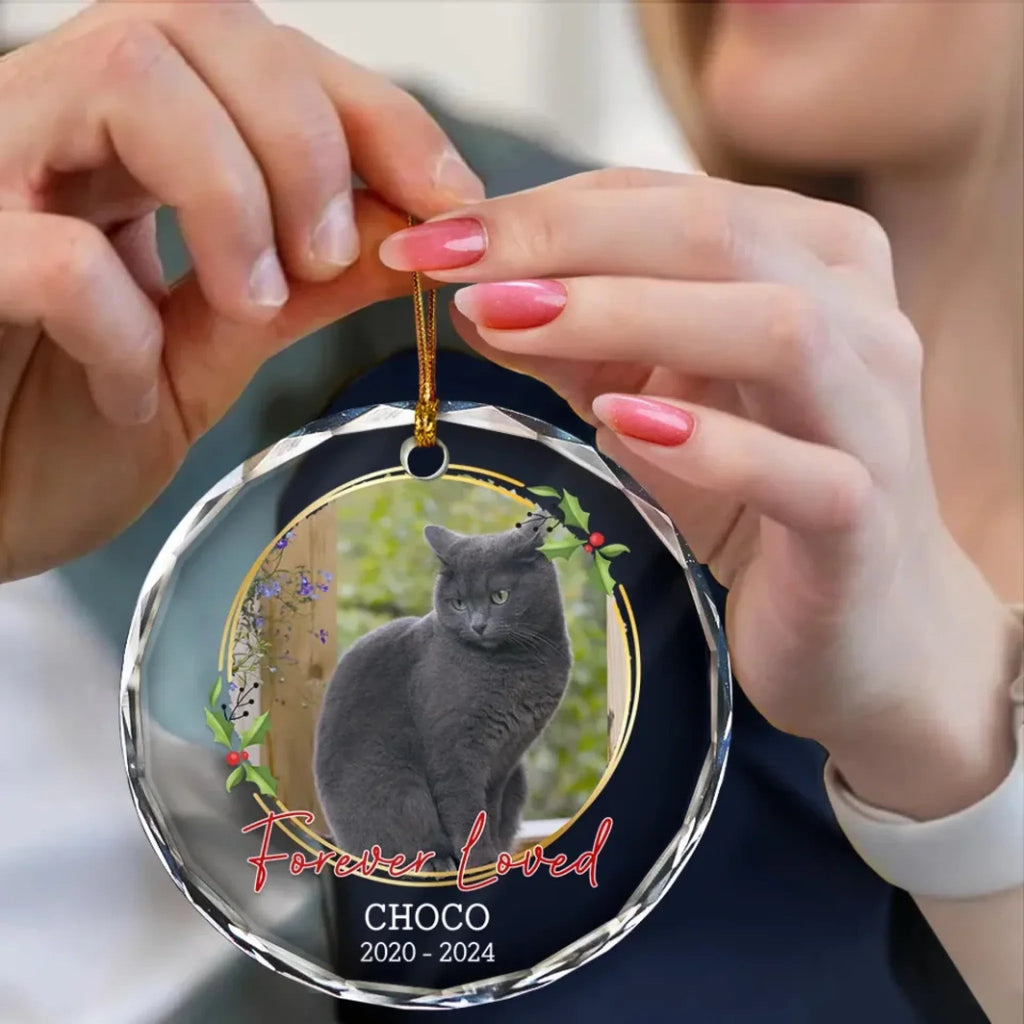 circle keepsake personalized cat photo glass ornament loss of cat gift