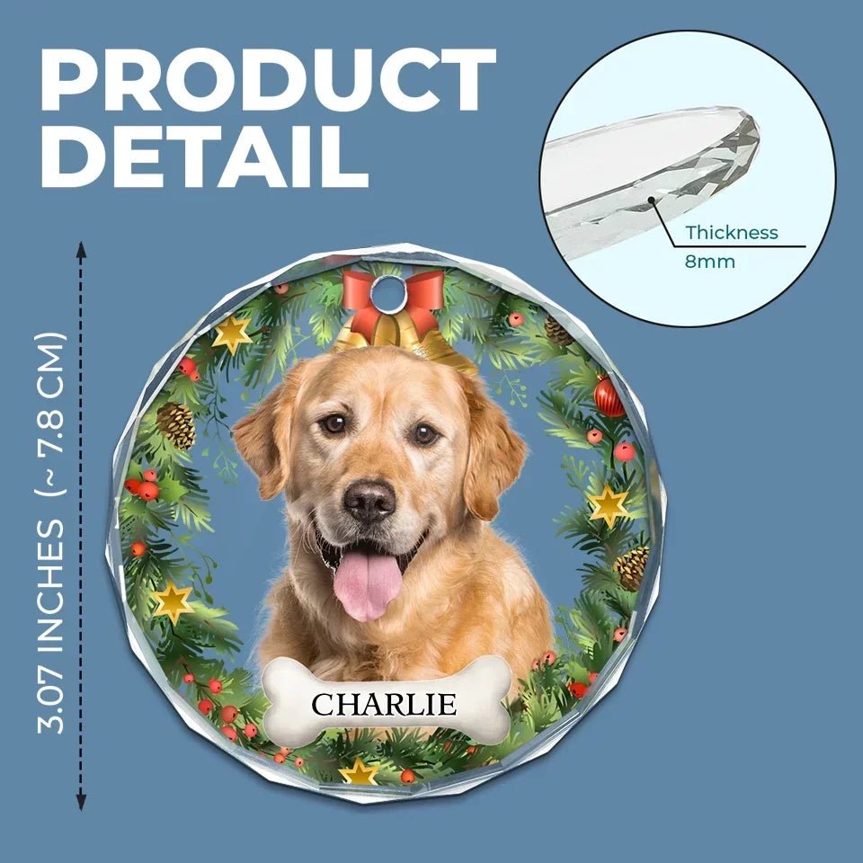 Custom Photo Happiness Is Having A Cat Or Dog By Your Side - Dog & Cat Personalized Custom Circle Glass Ornament - Christmas Gift For Pet Owners, Pet Lovers 686125 - DiyGiftly