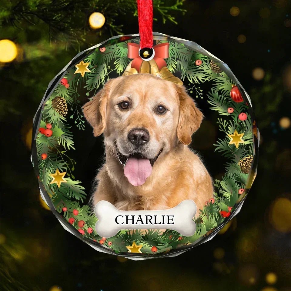 Custom Photo Happiness Is Having A Cat Or Dog By Your Side - Dog & Cat Personalized Custom Circle Glass Ornament - Christmas Gift For Pet Owners, Pet Lovers 686125 - DiyGiftly