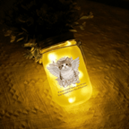 Colorful lights Personalized Cat Photo Mason Jar Light Cat Memorial Gifts for Gentle Home Comfort