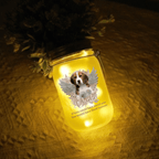 Custom Photo If Love Could Have Saved You - Memorial Personalized Custom Mason Jar Light - Sympathy Gift For Pet Owners, Pet Lovers 11183872 - DiyGiftly