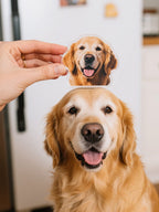 Custom Photo Irregular Shape Fridge Magnet – Personalized Kitchen Decoration - DiyGiftly