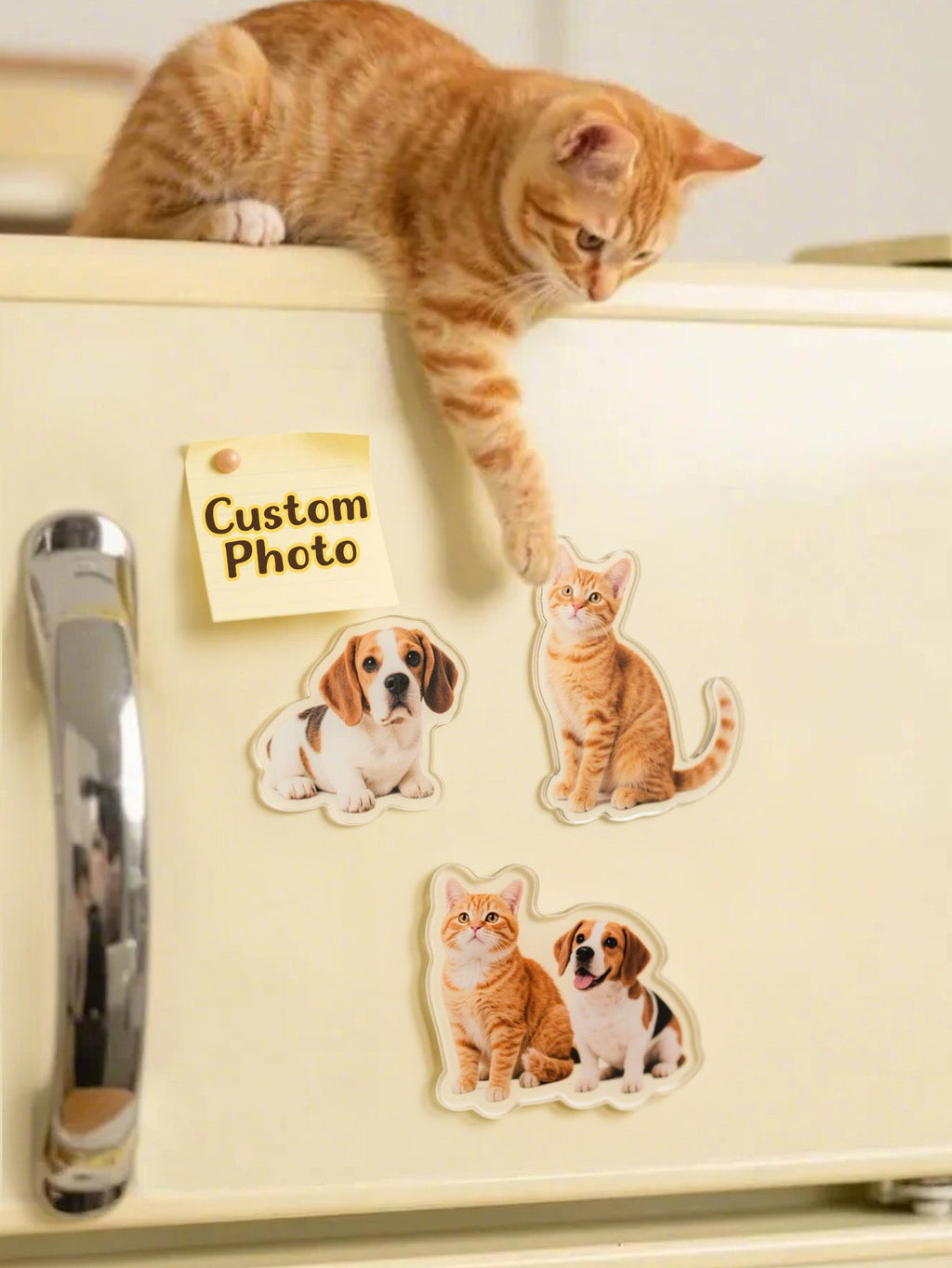 Custom Photo Irregular Shape Fridge Magnet – Personalized Kitchen Decoration - DiyGiftly