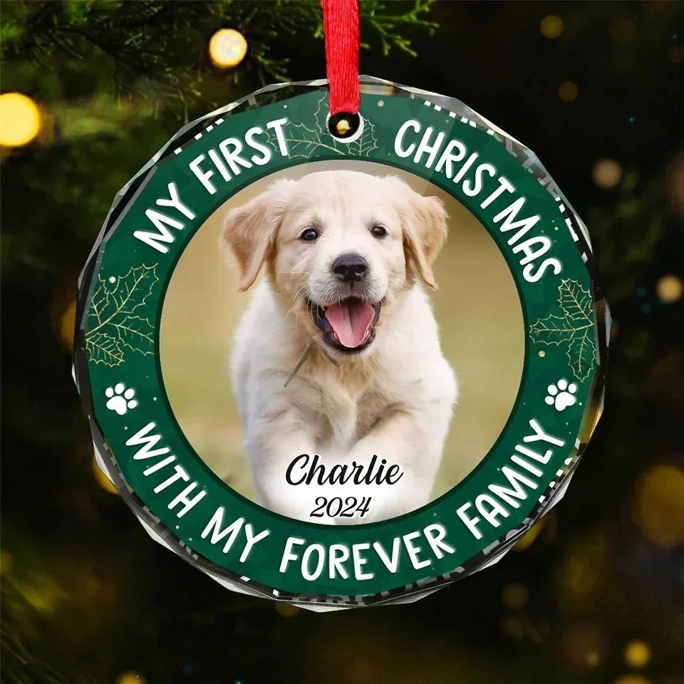 Custom Photo Joy To The World, My Pet Has Come - Dog & Cat Personalized Custom Circle Glass Ornament - Christmas Gift For Pet Owners, Pet Lovers, First Christmas 681461 - DiyGiftly