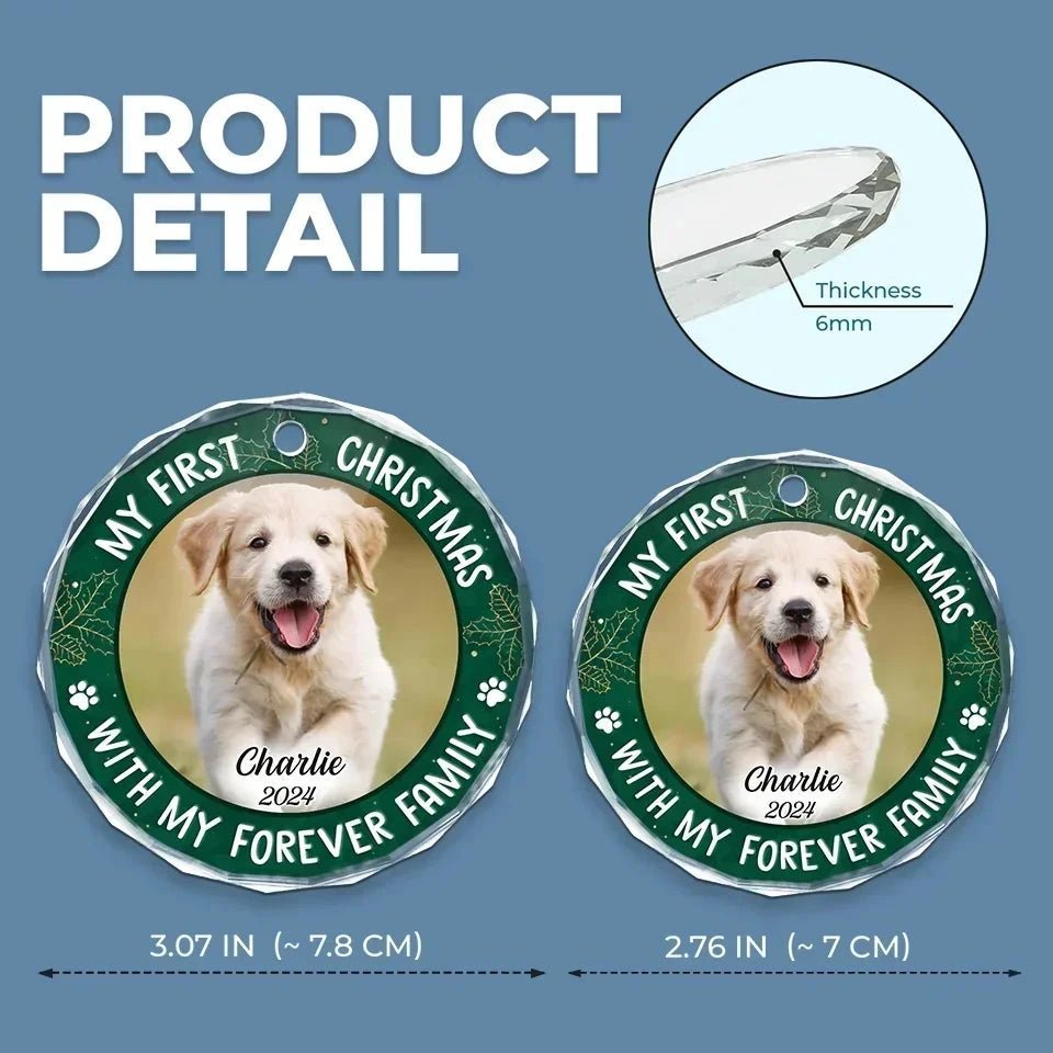 Custom Photo Joy To The World, My Pet Has Come - Dog & Cat Personalized Custom Circle Glass Ornament - Christmas Gift For Pet Owners, Pet Lovers, First Christmas 681461 - DiyGiftly