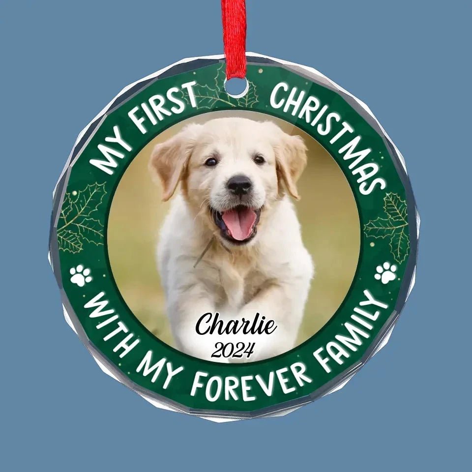 Custom Photo Joy To The World, My Pet Has Come - Dog & Cat Personalized Custom Circle Glass Ornament - Christmas Gift For Pet Owners, Pet Lovers, First Christmas 681461 - DiyGiftly
