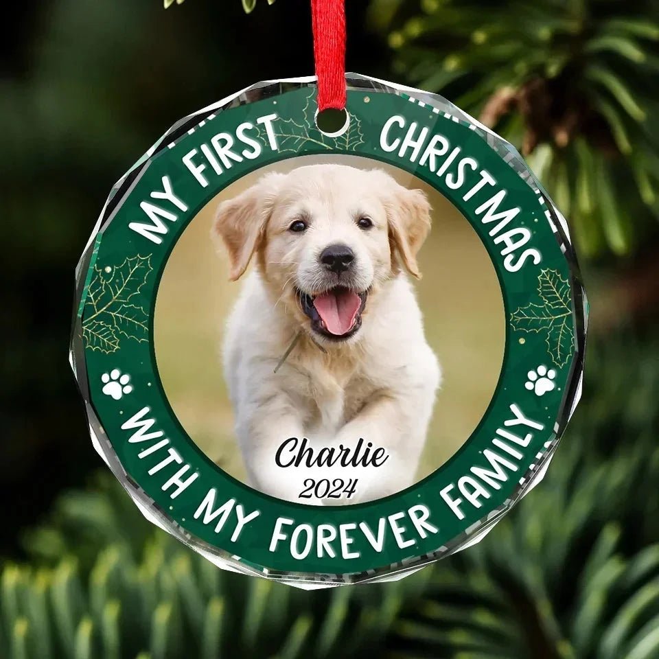 Custom Photo Joy To The World, My Pet Has Come - Dog & Cat Personalized Custom Circle Glass Ornament - Christmas Gift For Pet Owners, Pet Lovers, First Christmas 681461 - DiyGiftly