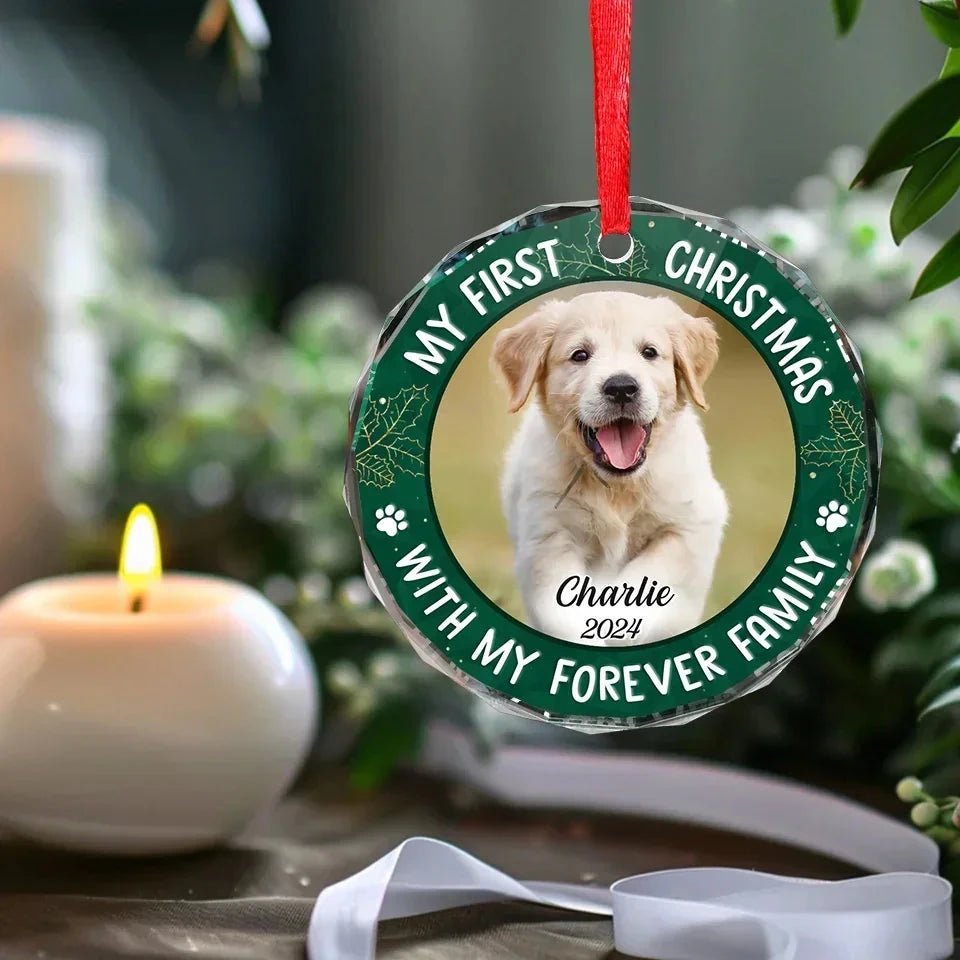Custom Photo Joy To The World, My Pet Has Come - Dog & Cat Personalized Custom Circle Glass Ornament - Christmas Gift For Pet Owners, Pet Lovers, First Christmas 681461 - DiyGiftly