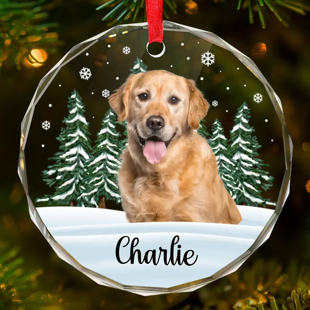 Custom Photo 'Til We Meet Again, My Friend - Memorial Personalized Custom Circle Glass Ornament - Christmas Gift, Sympathy Gift For Pet Owners, Pet Lovers 684696 - DiyGiftly