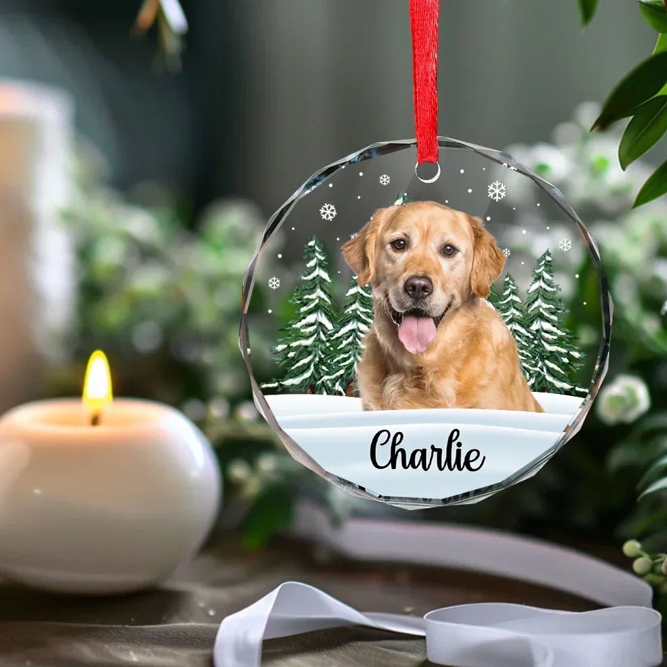 Custom Photo 'Til We Meet Again, My Friend - Memorial Personalized Custom Circle Glass Ornament - Christmas Gift, Sympathy Gift For Pet Owners, Pet Lovers 684696 - DiyGiftly