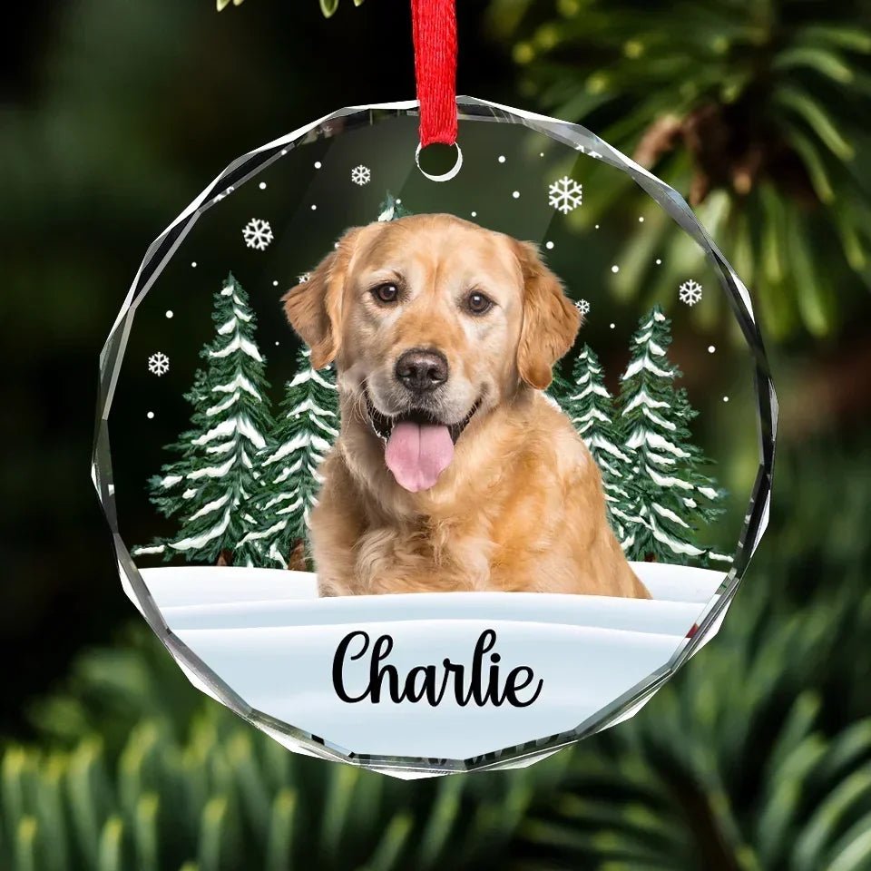 Custom Photo 'Til We Meet Again, My Friend - Memorial Personalized Custom Circle Glass Ornament - Christmas Gift, Sympathy Gift For Pet Owners, Pet Lovers 684696 - DiyGiftly