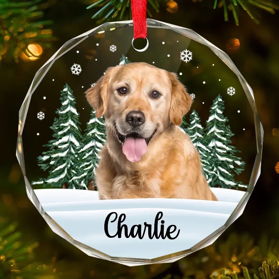 Custom Photo 'Til We Meet Again, My Friend - Memorial Personalized Custom Circle Glass Ornament - Christmas Gift, Sympathy Gift For Pet Owners, Pet Lovers 684696 - DiyGiftly