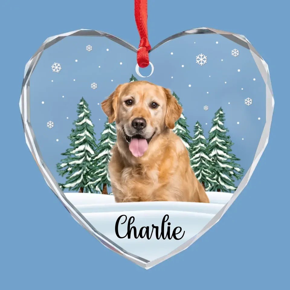 Custom Photo 'Til We Meet Again, My Friend - Memorial Personalized Custom Circle Glass Ornament - Christmas Gift, Sympathy Gift For Pet Owners, Pet Lovers 684724 - DiyGiftly