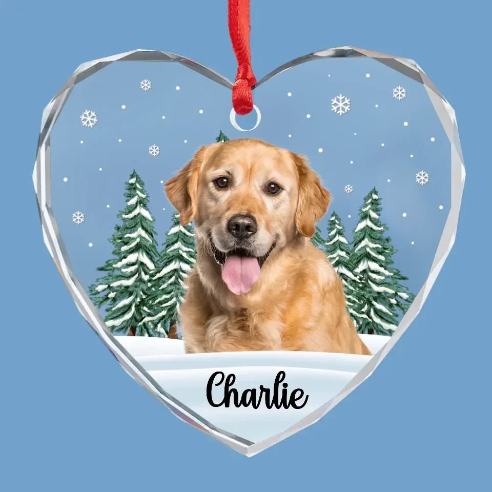 Custom Photo 'Til We Meet Again, My Friend - Memorial Personalized Custom Circle Glass Ornament - Christmas Gift, Sympathy Gift For Pet Owners, Pet Lovers 684724 - DiyGiftly