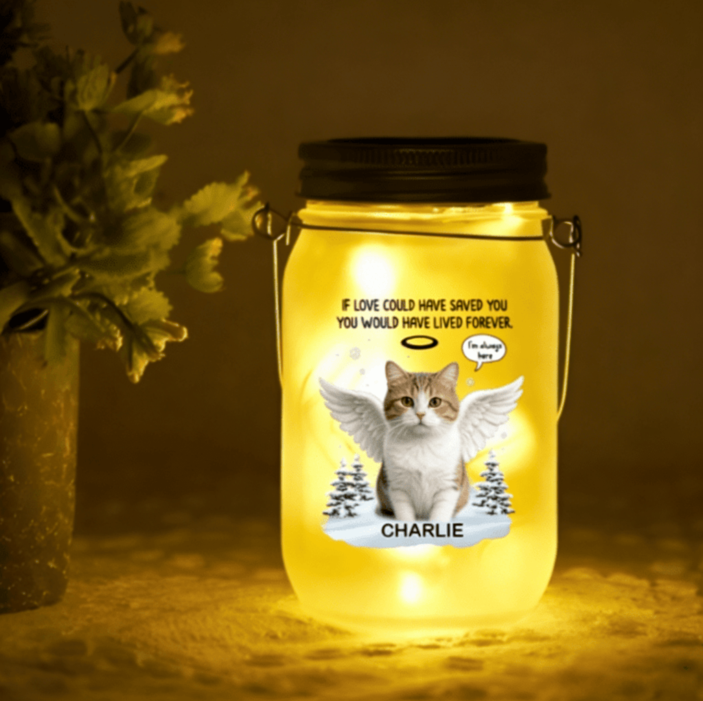 personalized cat photo mason jar light glowing memorial loss of cat gift