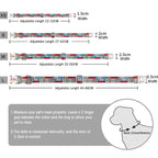 Custom Dog Collar Leash Set with Engraved